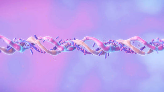 Peptides 